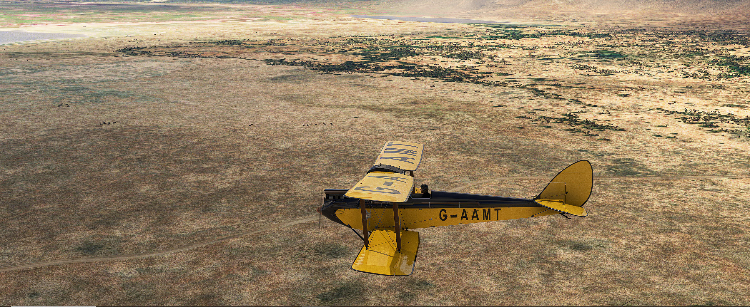 kq56yfsx.jpg