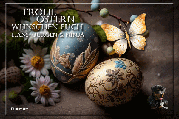 An den Beitrag angehängtes Bild: https://s1.directupload.eu/images/250418/daw959py.gif