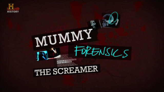 exca98tv.png