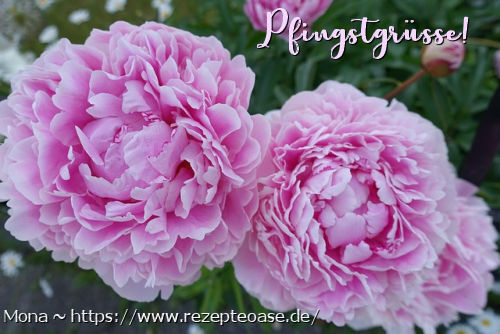 An den Beitrag angehängtes Bild: https://s1.directupload.eu/images/250607/w7ca28qy.jpg