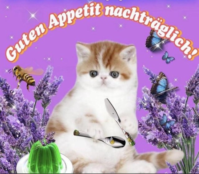 qchjdnoo.jpg
