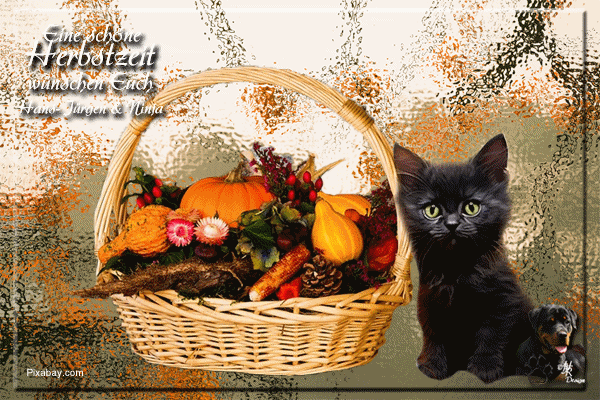 An den Beitrag angehängtes Bild: https://s1.directupload.eu/images/250913/muehsm3q.gif