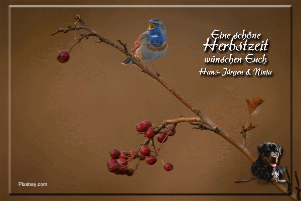 An den Beitrag angehängtes Bild: https://s1.directupload.eu/images/251002/z8cfm7uw.gif