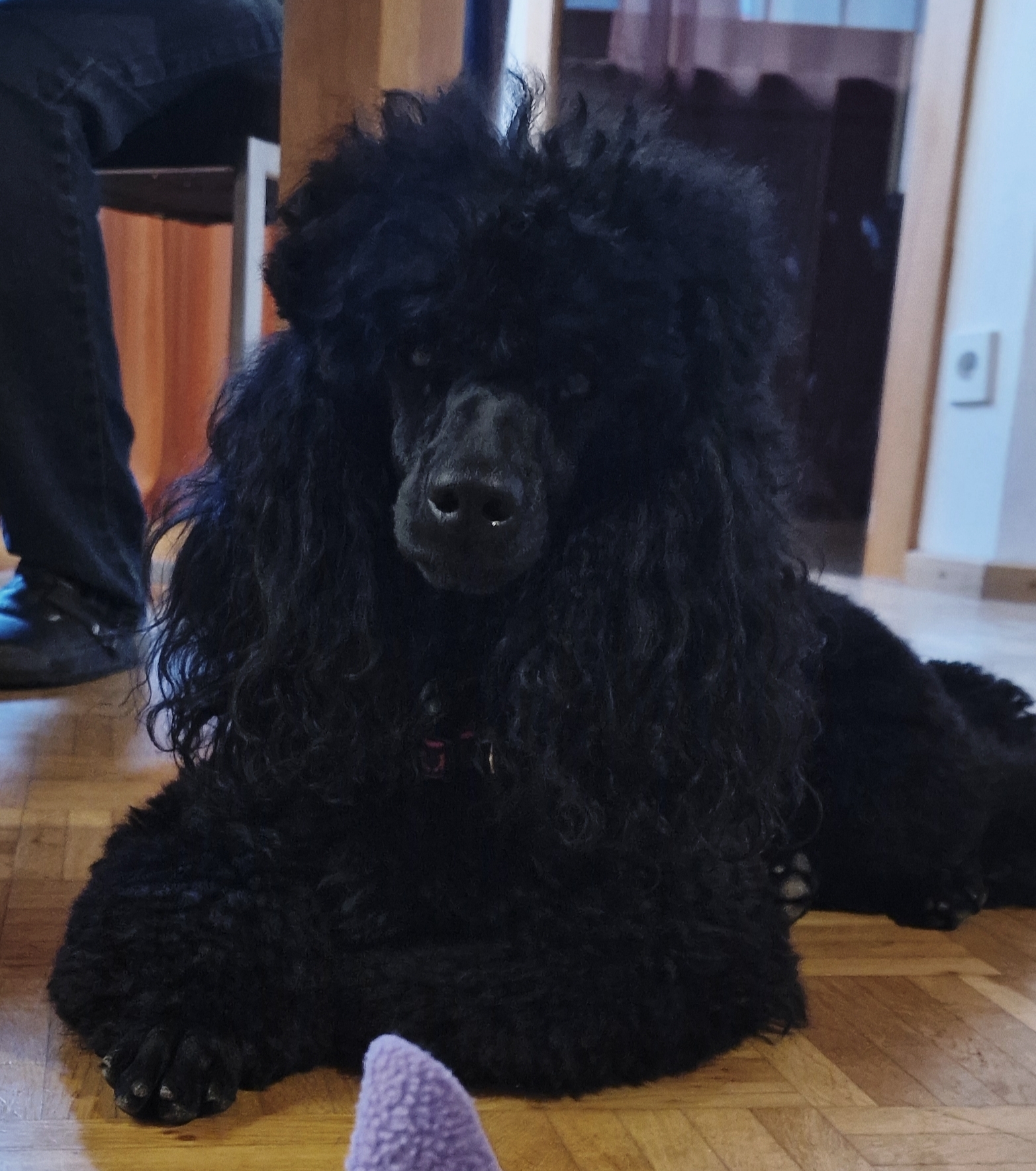 Kostenlos Bilder und Fotos hochladen