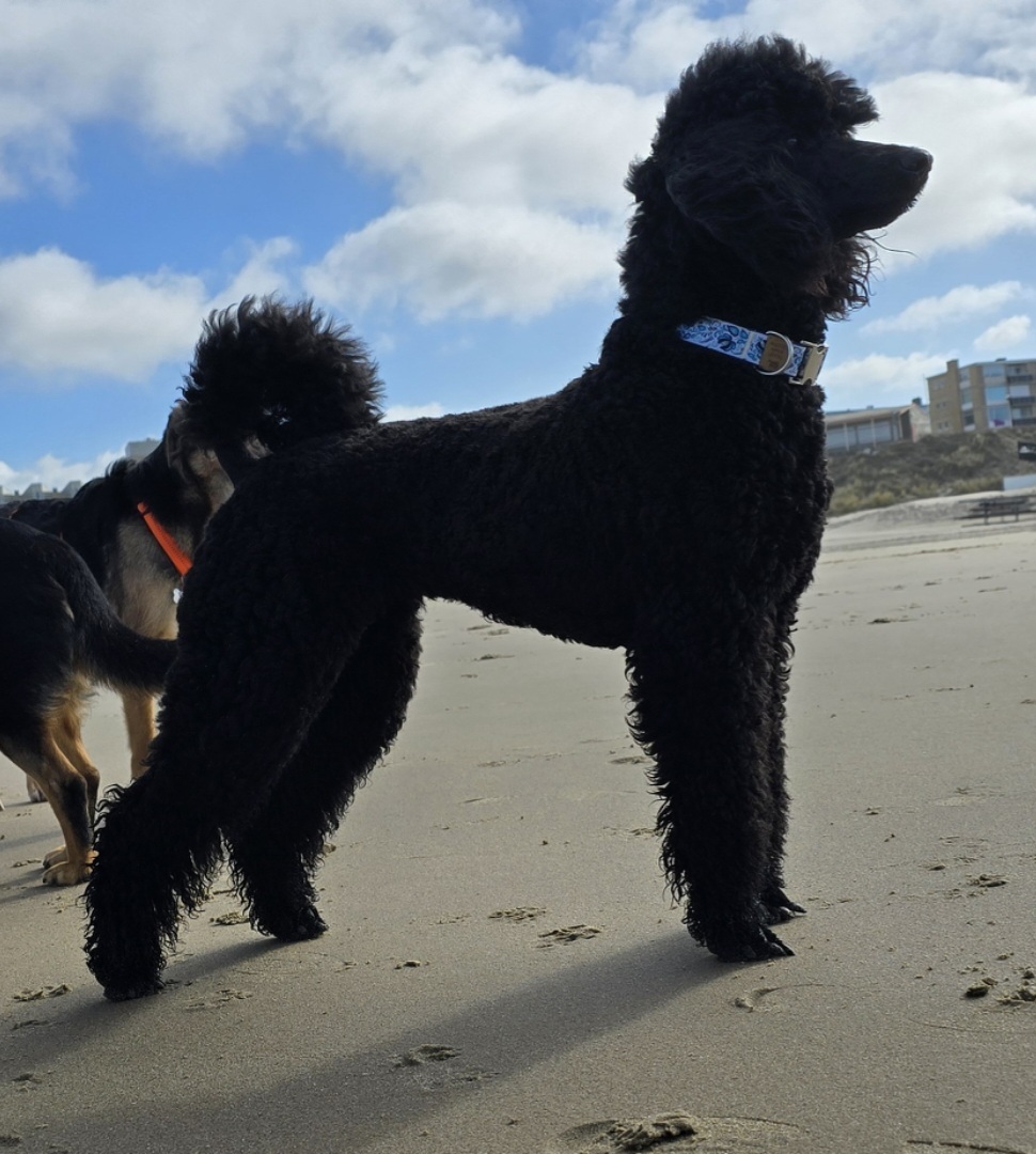 Kostenlos Bilder und Fotos hochladen