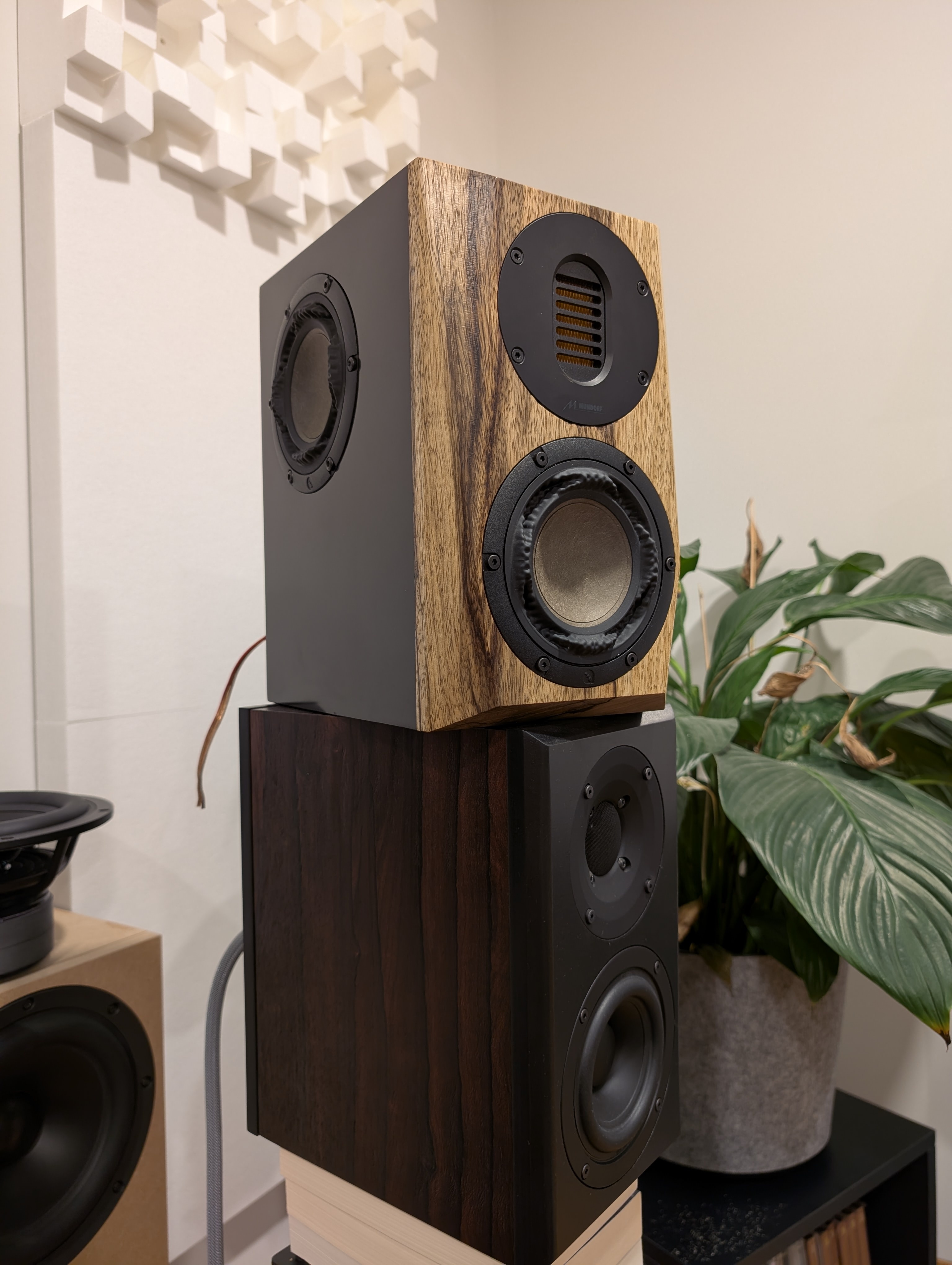 [Bild: 6fz8l4m3.jpg]