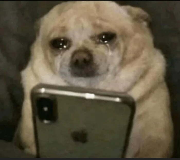 dbradqf3.jpg