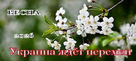 tree-branch-bloom 455х205.jpg