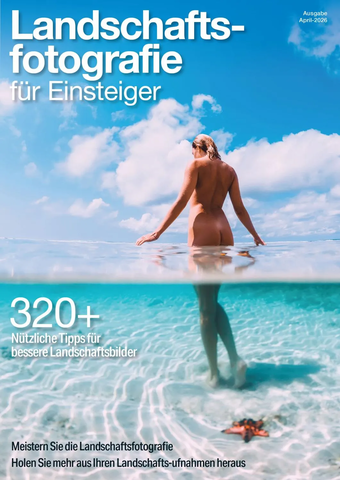 fmrvit84.webp