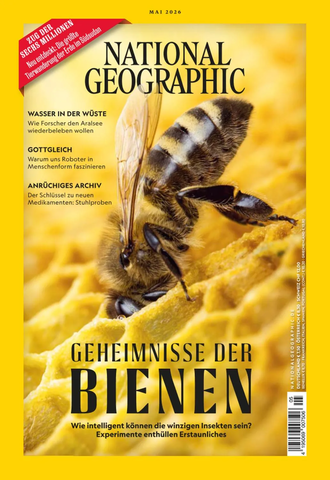 3c6fzdla.webp