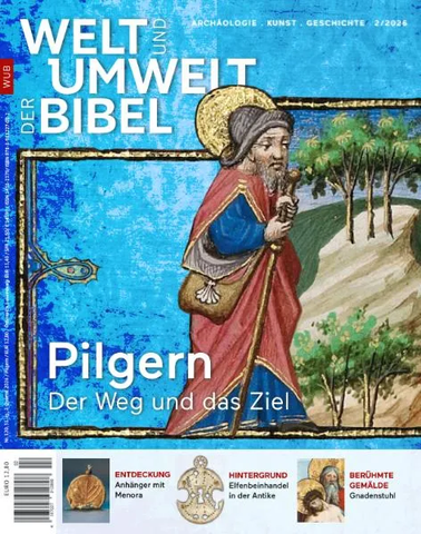 p4yx2lh6.webp