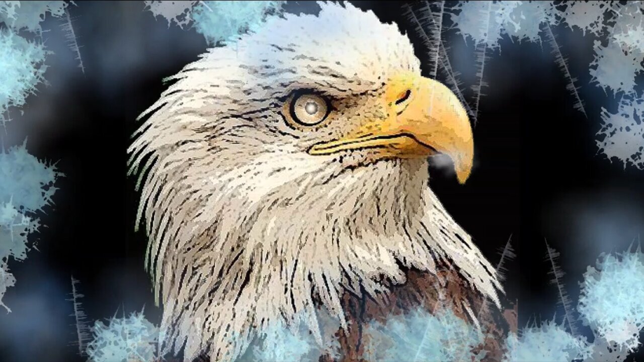 🎶 🎸 🎤 Saturday Jukebox - 11:30am EST - 8:00pm EST 8/29/26 - 100% Free Speech Chat ..