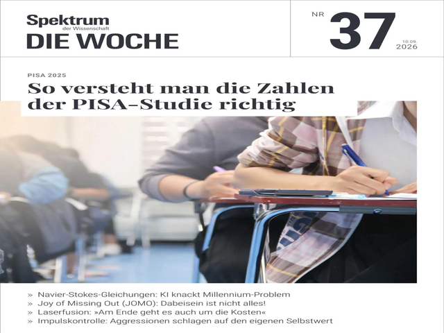 d4n8vxdp.webp
