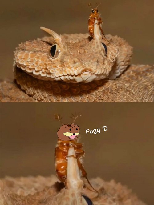 f6tb6a7h.jpg