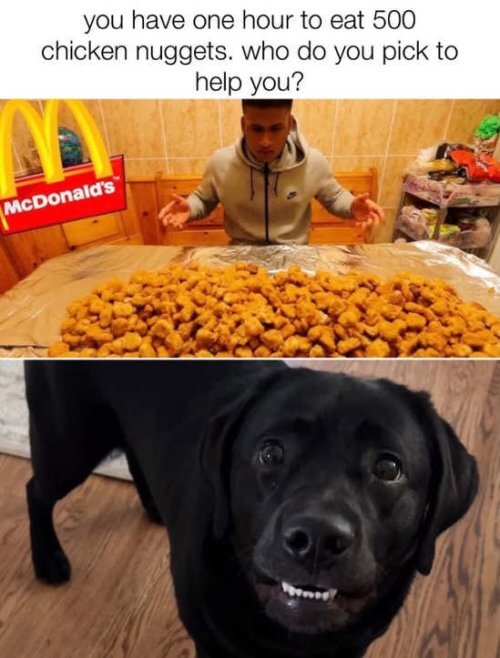 4y9r3gdd.jpg