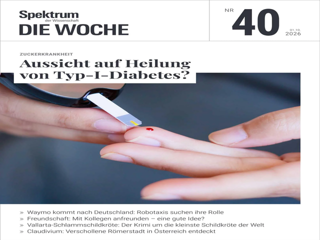 fgf36dt6.webp