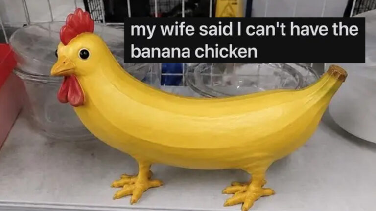 8vjx58ie.jpg