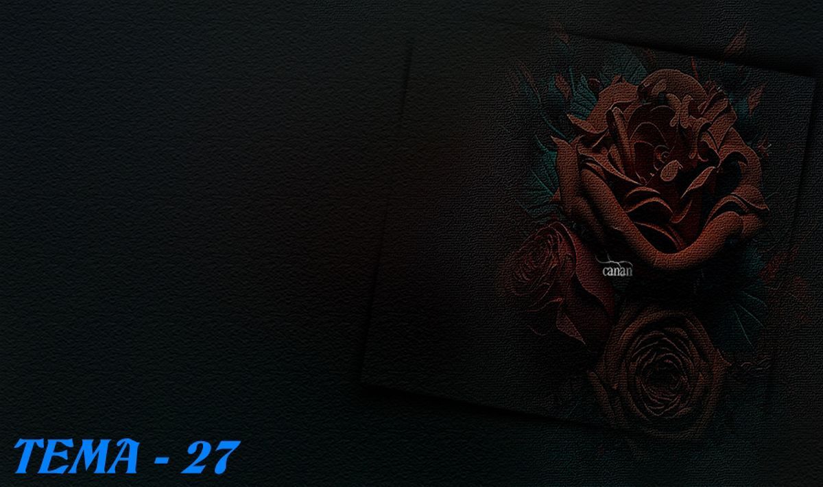 27