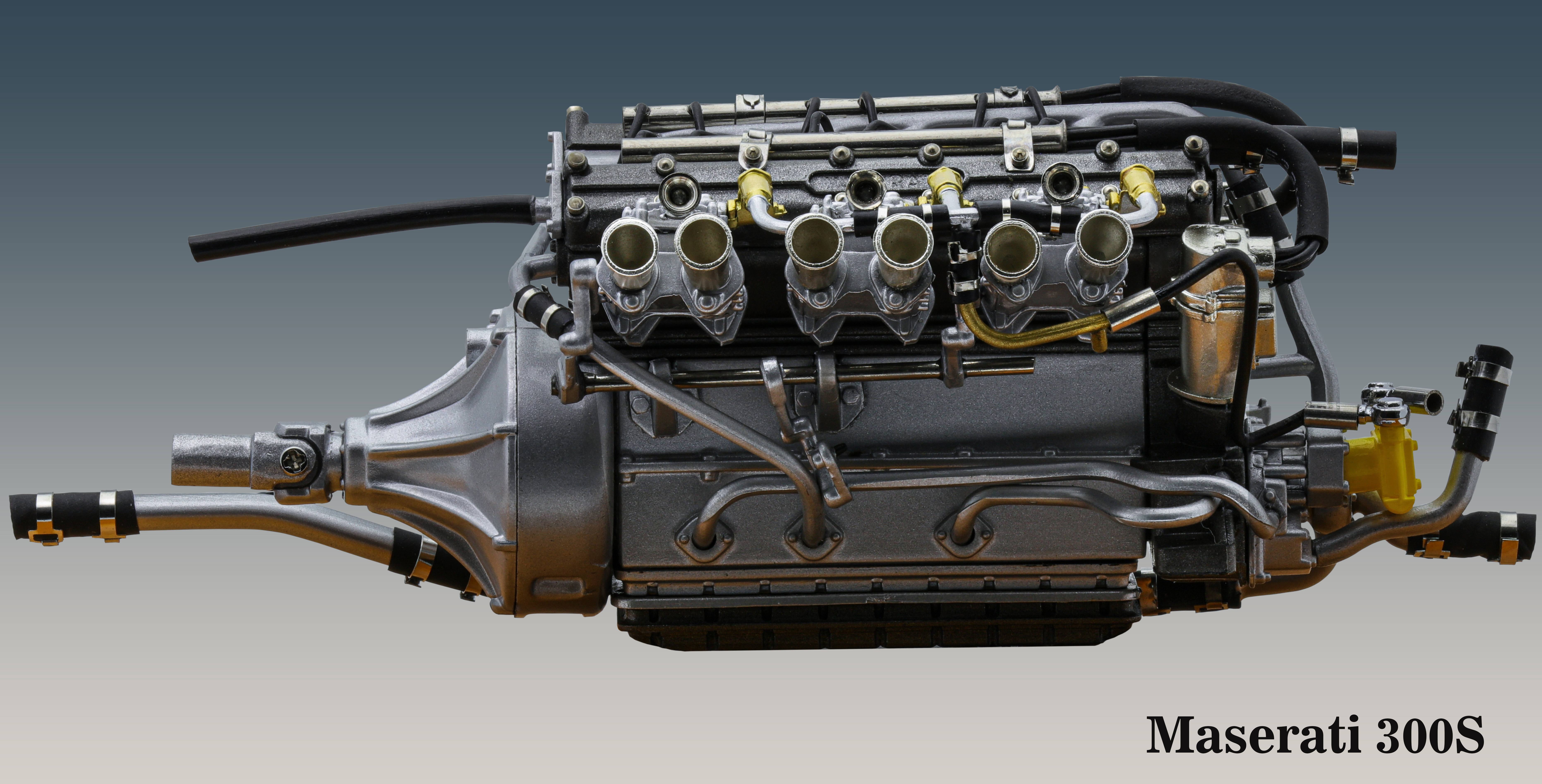 7wdv5m7p.jpg