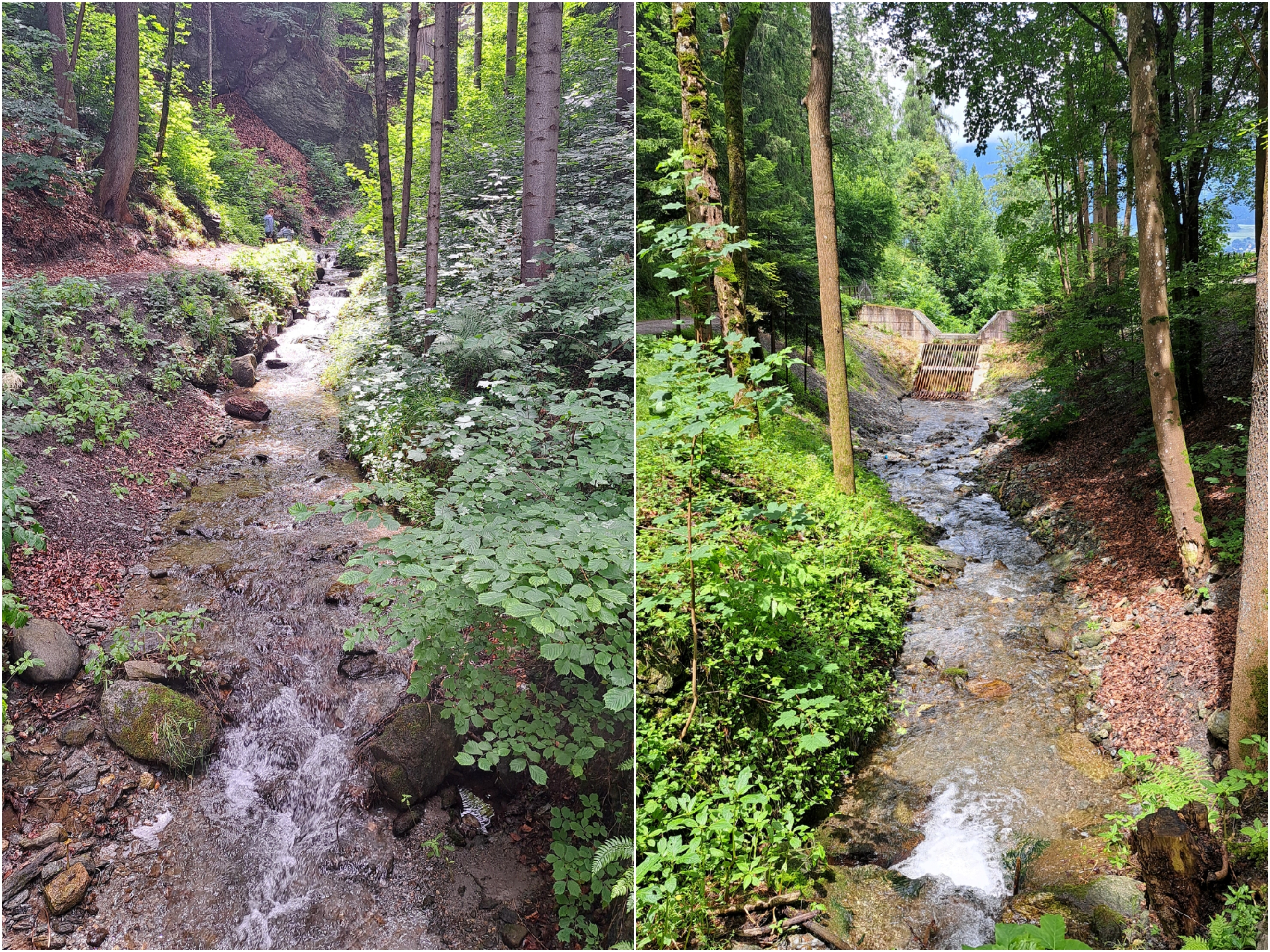 Externes Bild, es gelten die Datenschutz- und Nutzungsbestimmungen der ausgewählten Seite.