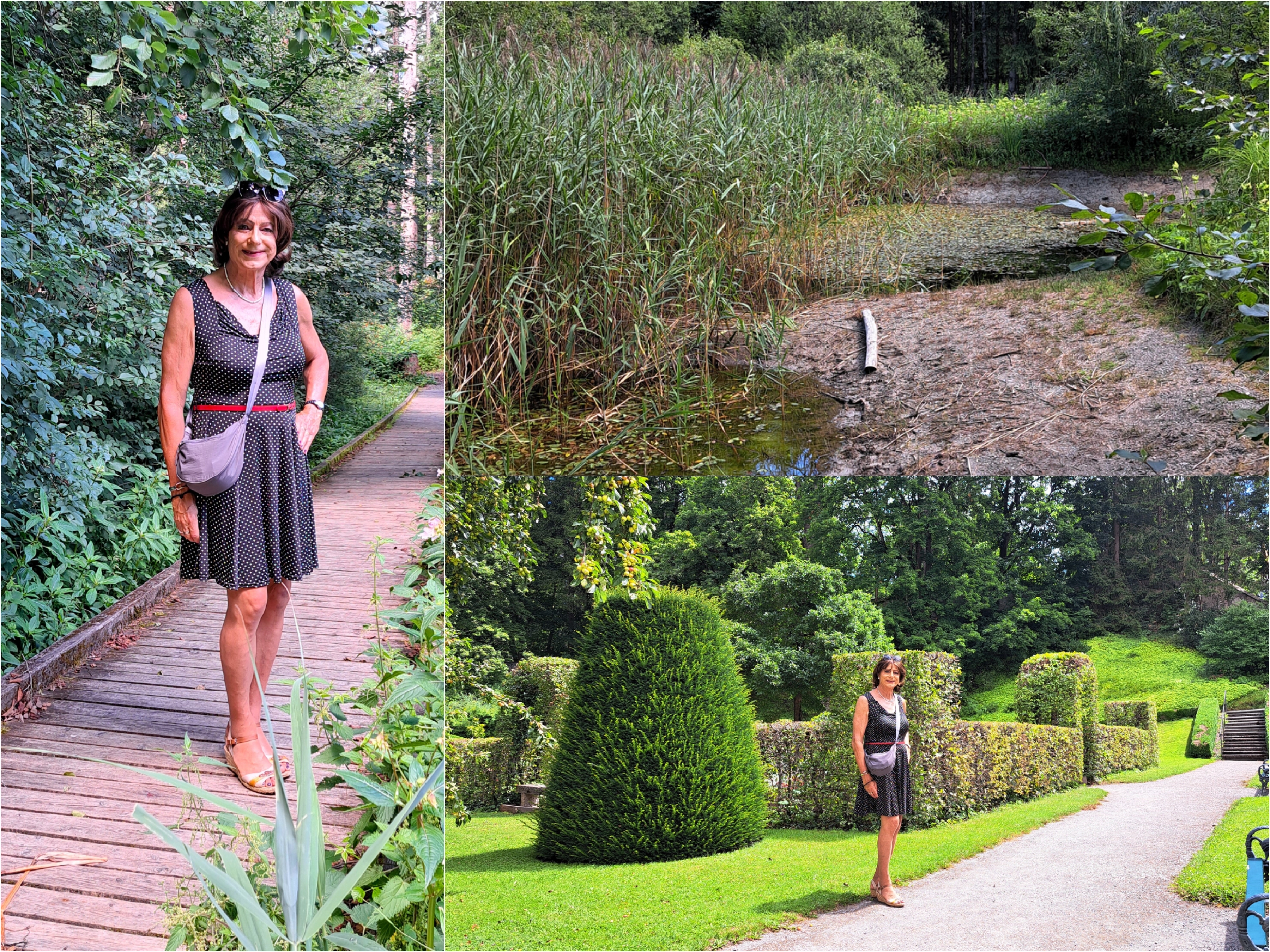 Externes Bild, es gelten die Datenschutz- und Nutzungsbestimmungen der ausgewählten Seite.