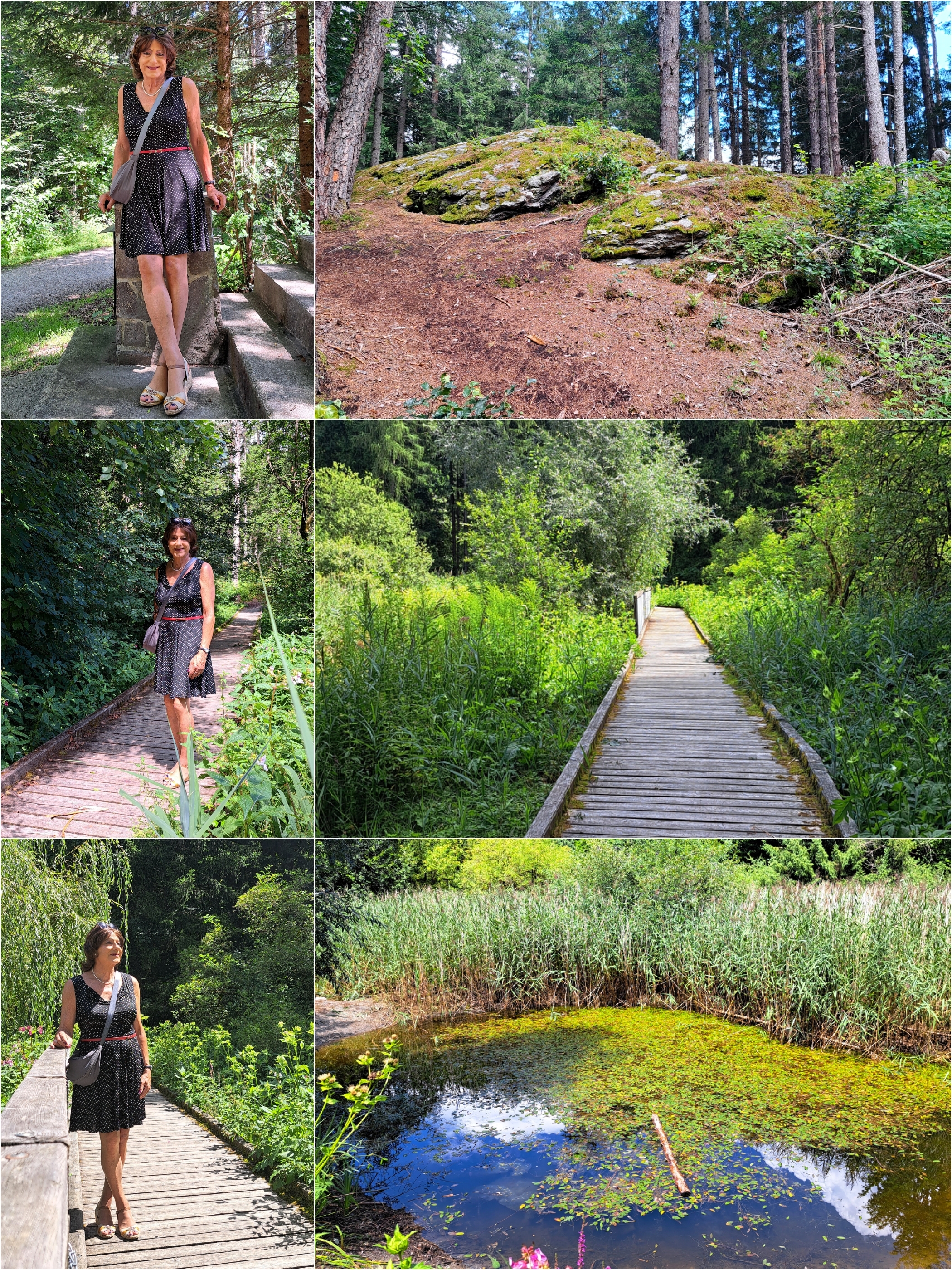 Externes Bild, es gelten die Datenschutz- und Nutzungsbestimmungen der ausgewählten Seite.