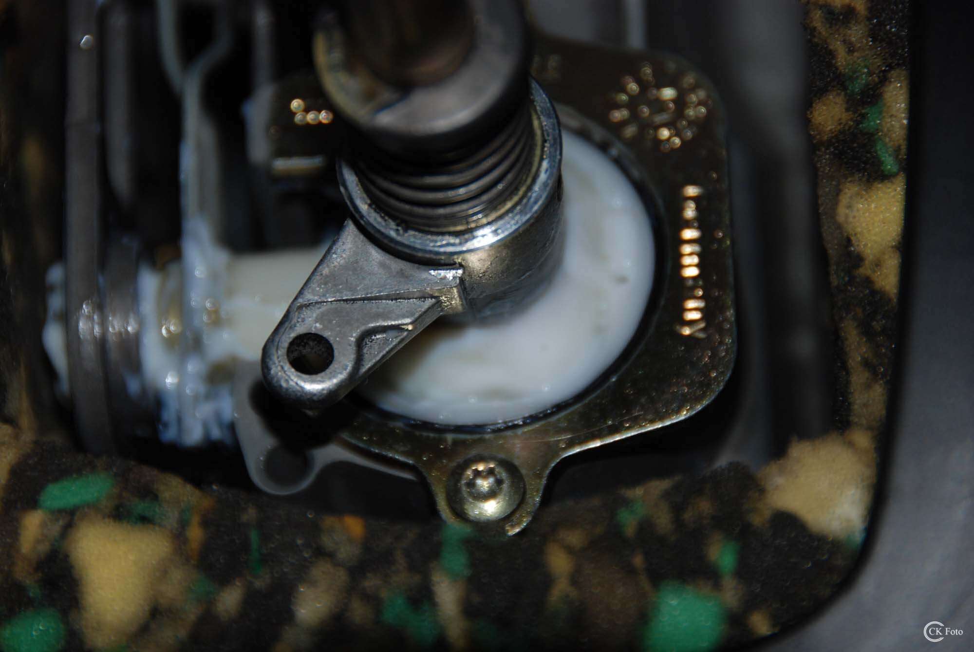 t95c6tnr.jpg