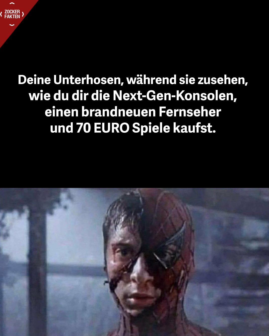 sdvqtjib.jpg
