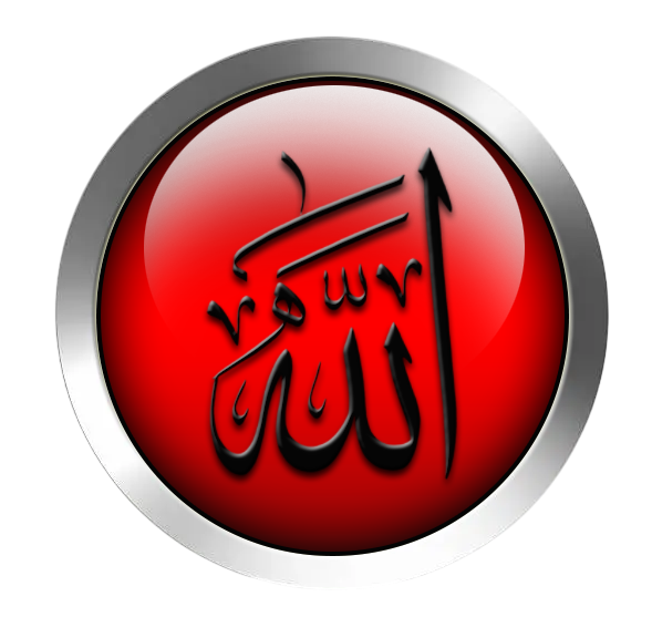 [Image: v8pb9ngj.png]