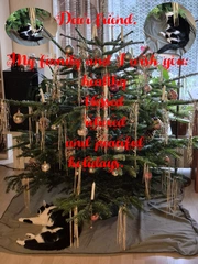 Kostenlos Bilder und Fotos hochladen