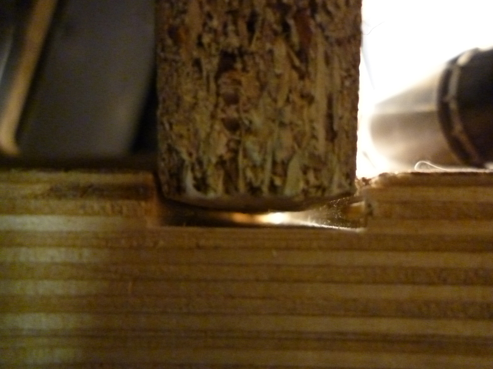 [Bild: wyr2d67y.jpg]