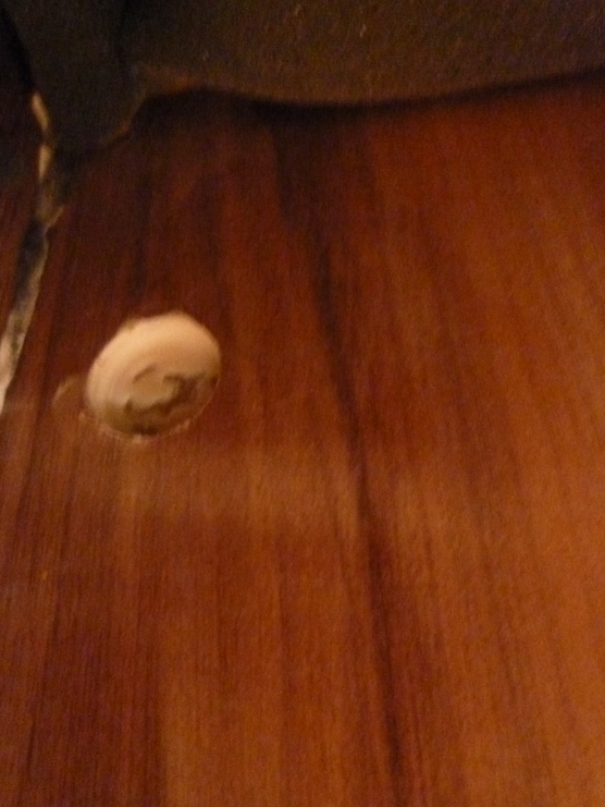 [Bild: zel88hbx.jpg]