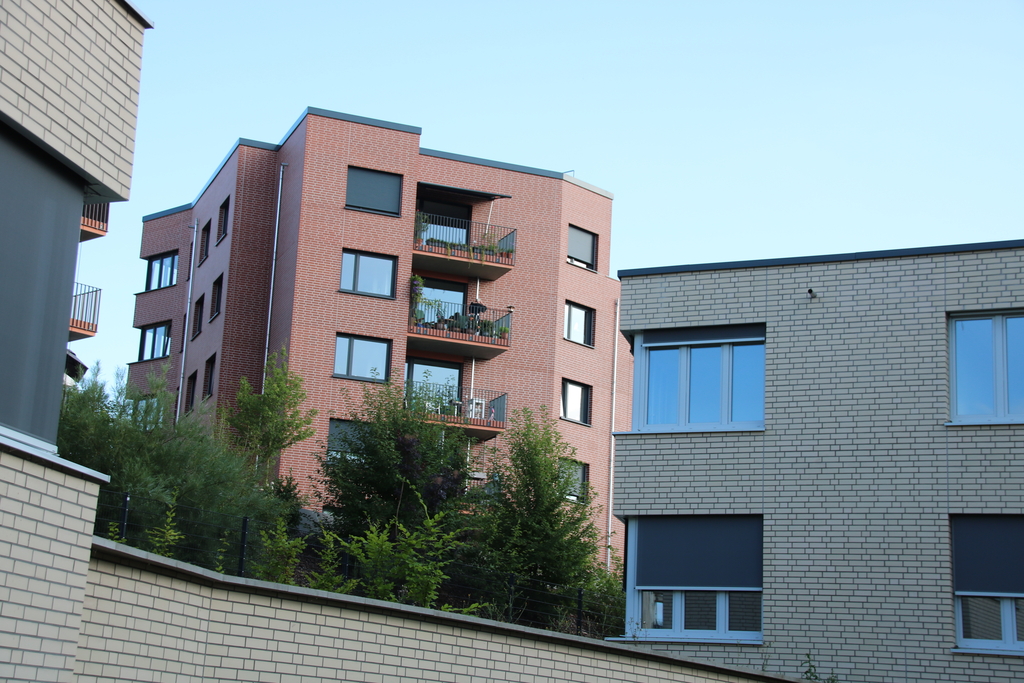 qs8pmvk3.jpg