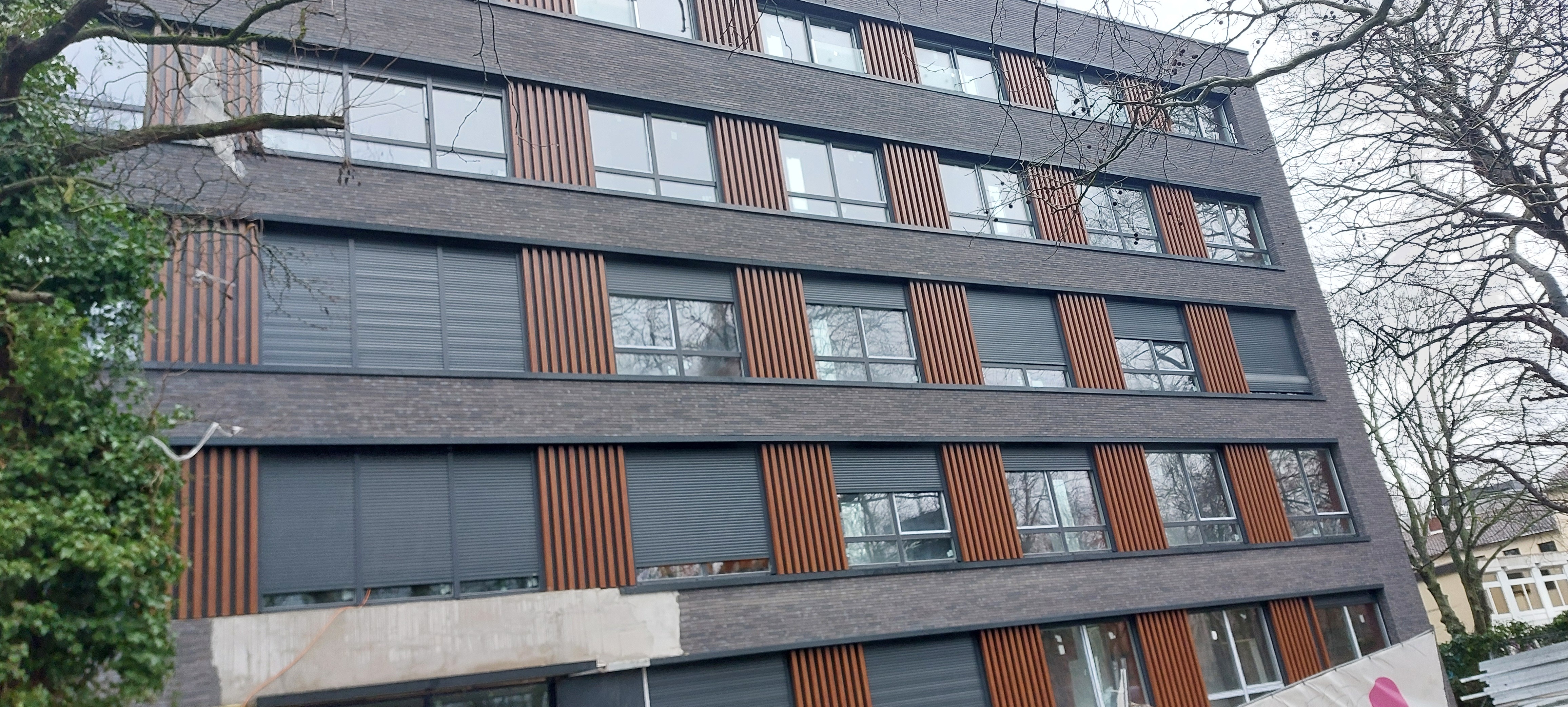 vw9ekvzt.jpg
