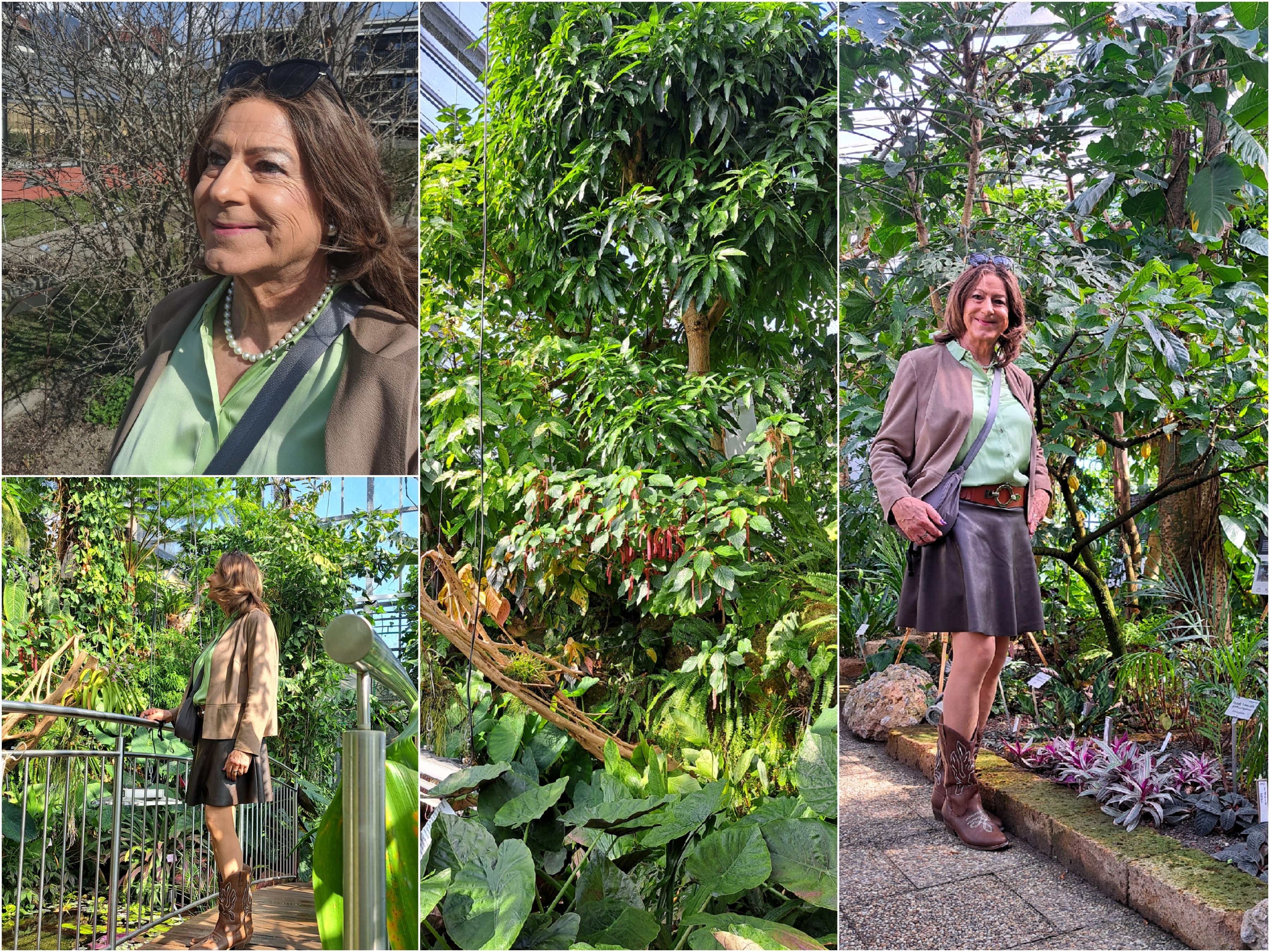 Externes Bild, es gelten die Datenschutz- und Nutzungsbestimmungen der ausgewählten Seite.