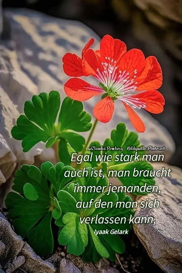An den Beitrag angehängtes Bild: https://s1.directupload.eu/images/user/260327/tgeox2wj.jpg