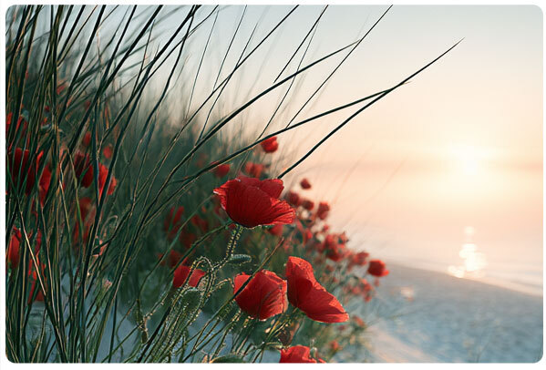 54v3xpzr.jpg