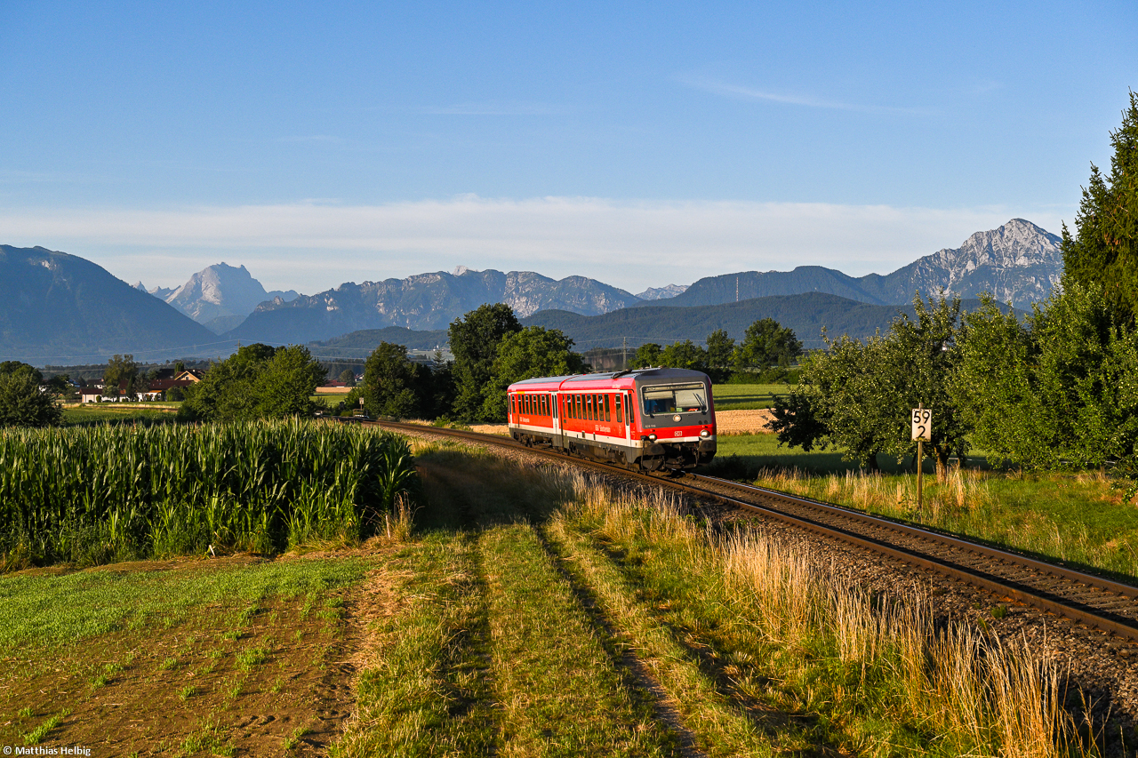 Bild der Woche