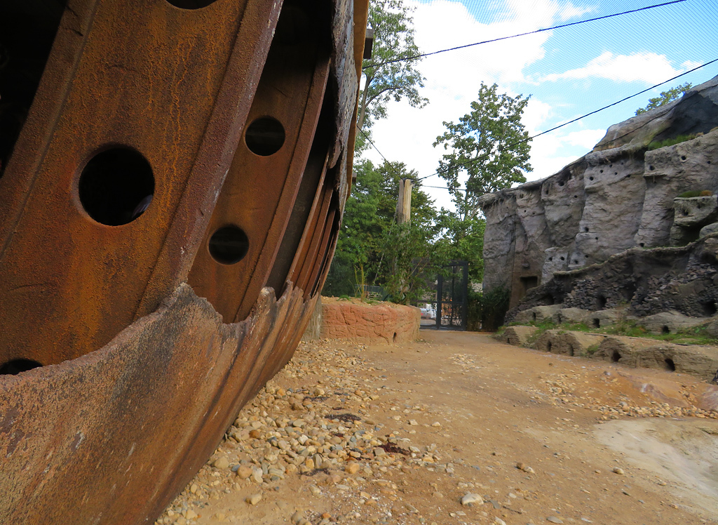 ls6sw9bo.jpg