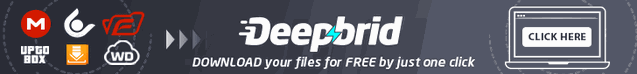 DEEPBRID.COM